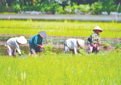 2020, Petani Sulut Belum Sejahtera